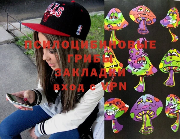 дмт Дмитров