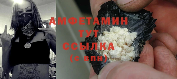 дмт Дмитров