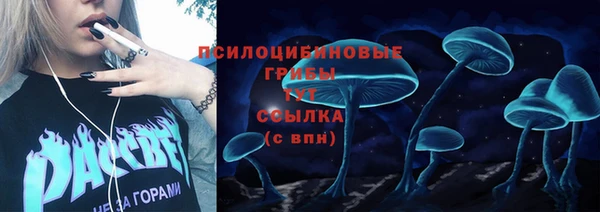 молекула духа Дмитровск