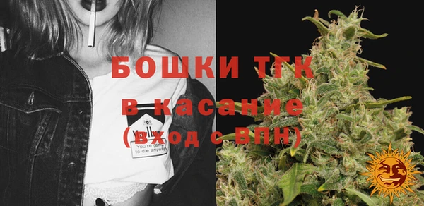 молекула духа Дмитровск