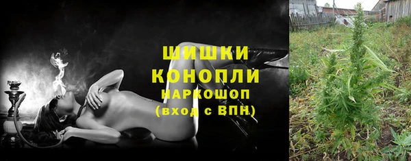 дмт Дмитров