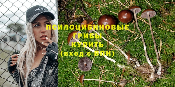 мяу мяу кристалл Дмитриев