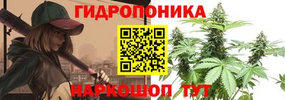 СК Пушкино
