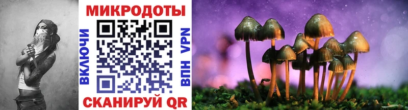 что такое наркотик  Стрежевой  mega ONION  Псилоцибиновые грибы Psilocybe 